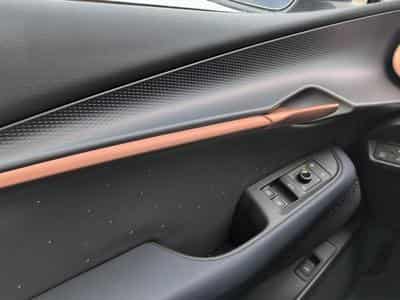 Cupra Tavascan VZ (2026) - Photo 13