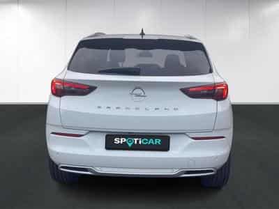 Opel Grandland Business Elegance (2023) - Foto 5