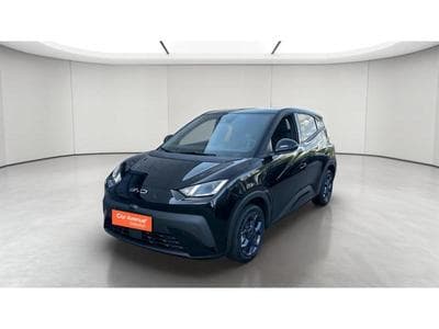 BYD DOLPHIN surf - comfort (2025) - Foto 1