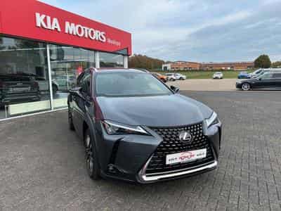 Lexus UX UX 250h Style Edition Navi Kamera (2023) - Photo 1