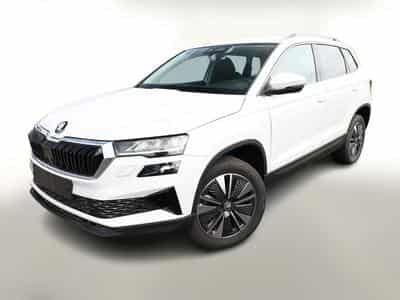 Skoda Karoq Selection (2026) - Photo 1