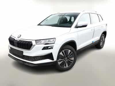 Skoda Karoq Selection (2026) - Photo 1