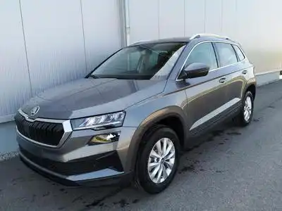 Skoda Karoq Selection (2026) - Photo 1