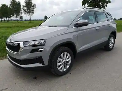 Skoda Karoq Selection (2026) - Photo 1