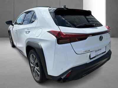 Lexus UX F SPORT Design (2023) - Photo 10