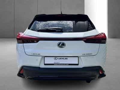 Lexus UX F SPORT Design (2023) - Photo 9