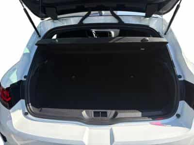 Renault Megane 1.8 TCe R.S. 300 EDC (2021) - Photo 9