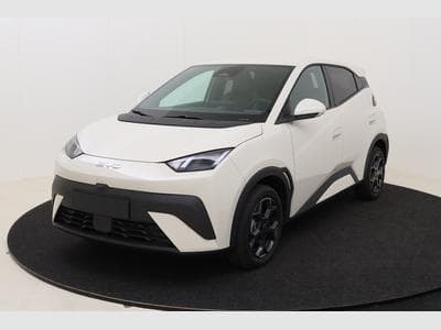 Byd Dolphin Surf Comfort (2025) - Photo 1