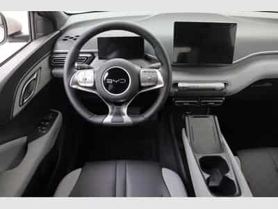 Byd Dolphin Surf Comfort (2025) - Photo 11