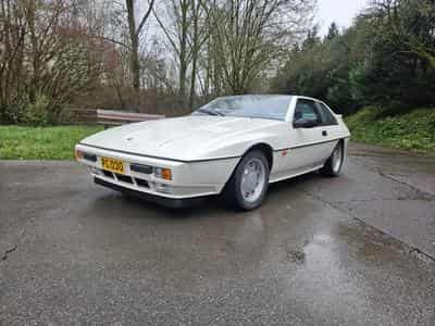 Lotus Excel S.E. (1987) - Photo 1