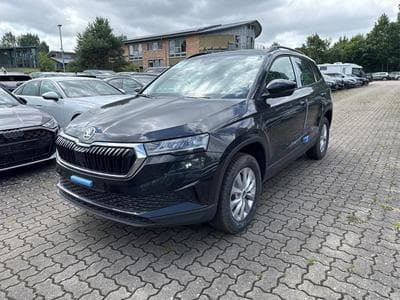 Skoda Karoq Selection (2026) - Photo 1