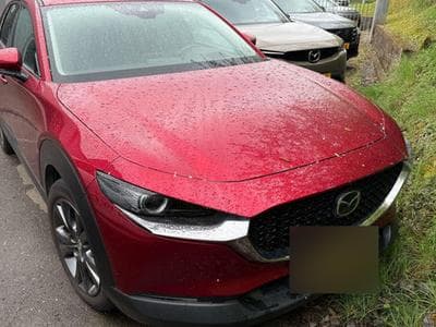 Mazda CX-30 2.0 e-Skyactiv X 137kW 4WD AT Skycruise (2020) - Foto 1