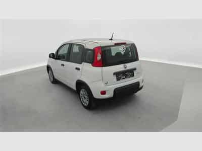 Fiat Panda 1.0i MHEV City Life CLIM / BLUETOOTH (2022) - Photo 2
