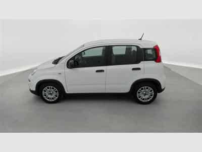 Fiat Panda 1.0i MHEV City Life CLIM / BLUETOOTH (2022) - Photo 3
