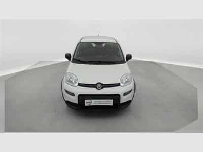 Fiat Panda 1.0i MHEV City Life CLIM / BLUETOOTH (2022) - Photo 4