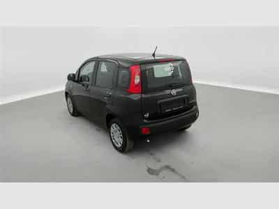 Fiat Panda 1.0i MHEV City Life CLIM / PDC AR (2026) - Photo 2