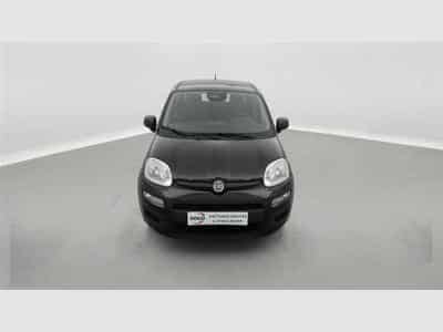 Fiat Panda 1.0i MHEV City Life CLIM / PDC AR (2026) - Photo 4