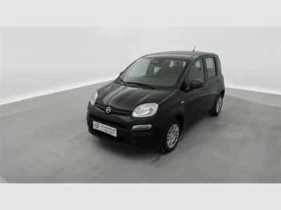 Fiat Panda 1.0i MHEV City Life CLIM / PDC AR (2025) - Foto 1