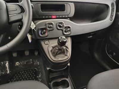 Fiat Panda 1.0i MHEV City Life CLIM / PDC AR (2025) - Foto 12