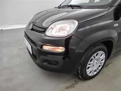 Fiat Panda 1.0i MHEV City Life CLIM / PDC AR (2025) - Foto 15