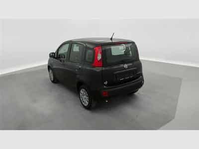 Fiat Panda 1.0i MHEV City Life CLIM / PDC AR (2025) - Foto 2