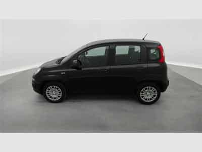 Fiat Panda 1.0i MHEV City Life CLIM / PDC AR (2025) - Foto 3