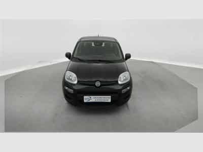 Fiat Panda 1.0i MHEV City Life CLIM / PDC AR (2025) - Foto 4