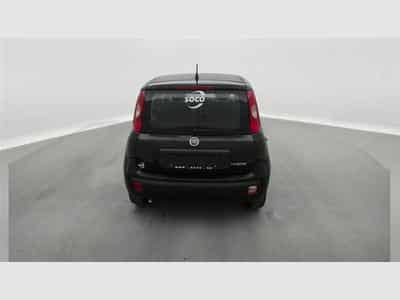 Fiat Panda 1.0i MHEV City Life CLIM / PDC AR (2025) - Foto 5
