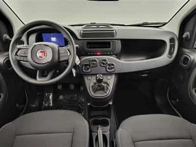 Fiat Panda 1.0i MHEV City Life CLIM / PDC AR (2025) - Foto 8