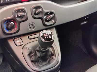 Fiat Panda Cross 1.2i City Cross (EU6d-TEMP) (2019) - Foto 12