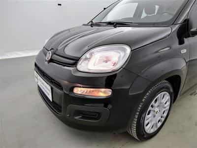 Fiat Panda 1.0i MHEV City Life CLIM / PDC AR (2026) - Photo 15