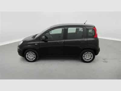 Fiat Panda 1.0i MHEV City Life CLIM / PDC AR (2026) - Photo 3