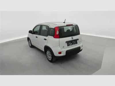 Fiat Panda 1.0i MHEV City Life CLIM / BLUETOOTH (2022) - Photo 2