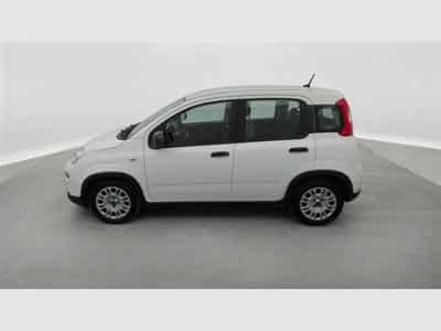 Fiat Panda 1.0i MHEV City Life CLIM / BLUETOOTH (2022) - Photo 3