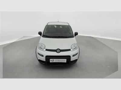 Fiat Panda 1.0i MHEV City Life CLIM / BLUETOOTH (2022) - Photo 4