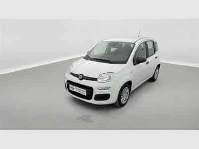 Fiat Panda 1.0i MHEV Icon 5p. CLIM / BLUETOOTH / PDC AR (2026) - Photo 1