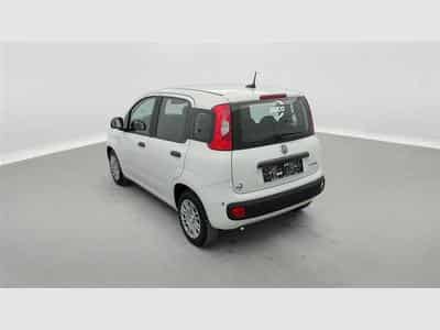 Fiat Panda 1.0i MHEV Icon 5p. CLIM / BLUETOOTH / PDC AR (2026) - Photo 2