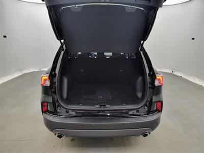 Ford Kuga 1.5 TDCi 120Cv Powershift Titanium NAVI / FULL LED (2023) - Foto 14