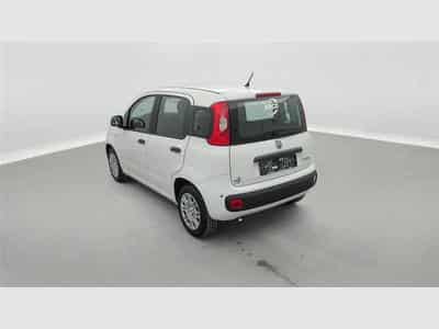 Fiat Panda 1.0i MHEV City Life CLIM / PDC AR (2026) - Photo 2