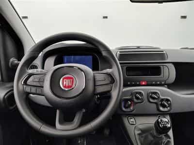 Fiat Panda 1.0i MHEV City Life CLIM / PDC AR (2026) - Photo 8