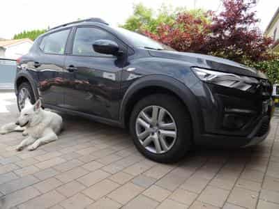 Dacia Sandero STEPWAY (2023) - Photo 2