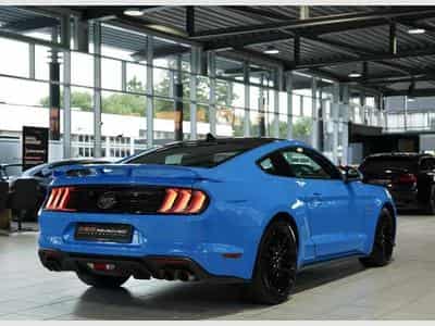 Ford Mustang 5.0 GT Fastback 2.Hand *MwSt *MagneRide (2024) - Photo 8