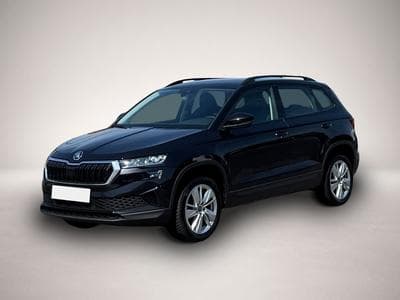 Skoda Karoq (2025) - Photo 1