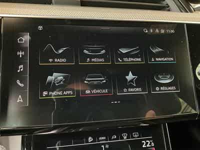 Audi e-tron S-Line-55+Quattro+P.Ass.+Matrix+P.Technology (2022) - Foto 14