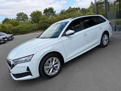 Skoda Octavia Octavia 2.0 TDI Selection Kamera Keyless LED ACC (2025) - Foto 1