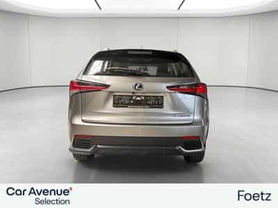 Lexus NX BUSINESS LINE (2018) - Photo 15