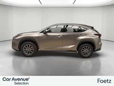Lexus NX BUSINESS LINE (2018) - Photo 2