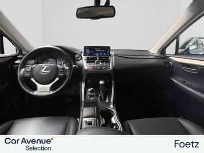 Lexus NX BUSINESS LINE (2018) - Photo 3