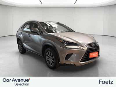 Lexus NX BUSINESS LINE (2018) - Photo 4