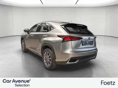 Lexus NX BUSINESS LINE (2018) - Photo 8